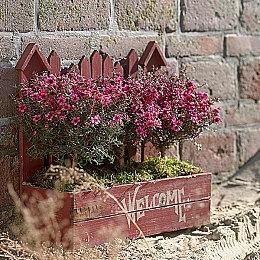 玩家不看好《星球大战：法外狂徒》 育碧高层称不会推迟游戏