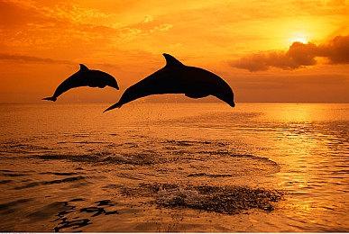 《守望先锋2》第七赛季新地图泄露 将与《暗黑破坏神4》联动